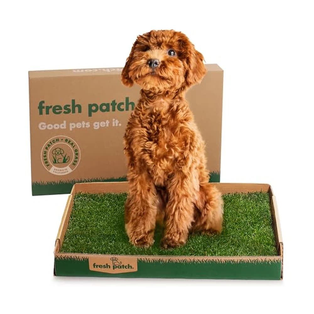 Fresh Patch Real Grass Patch