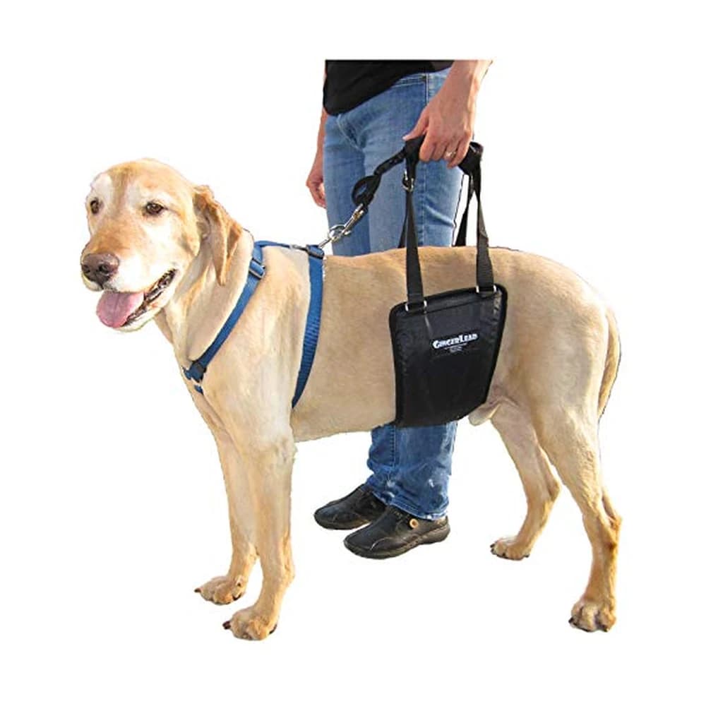 GingerLead Rear Support Sling, the top pick for Lift Harnesses & Traction