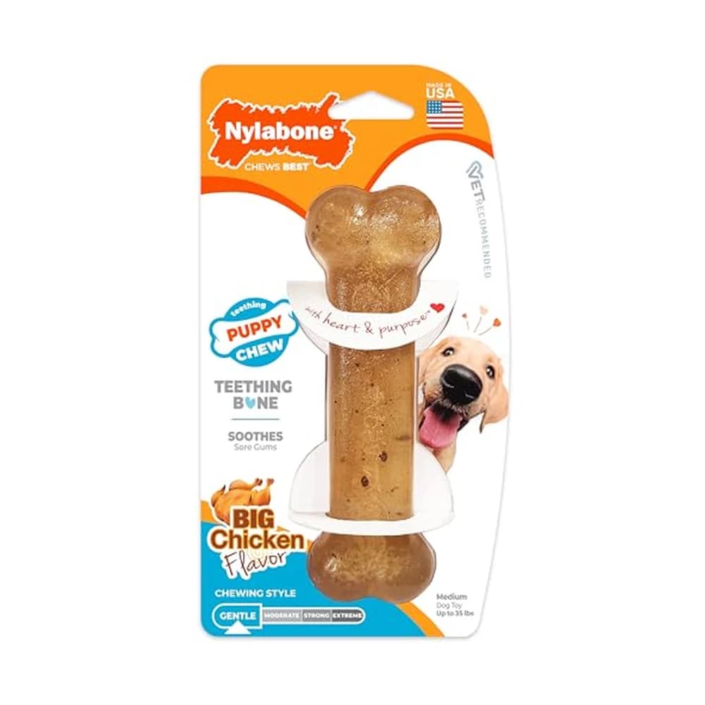 Nylabone Puppy Teething Chew